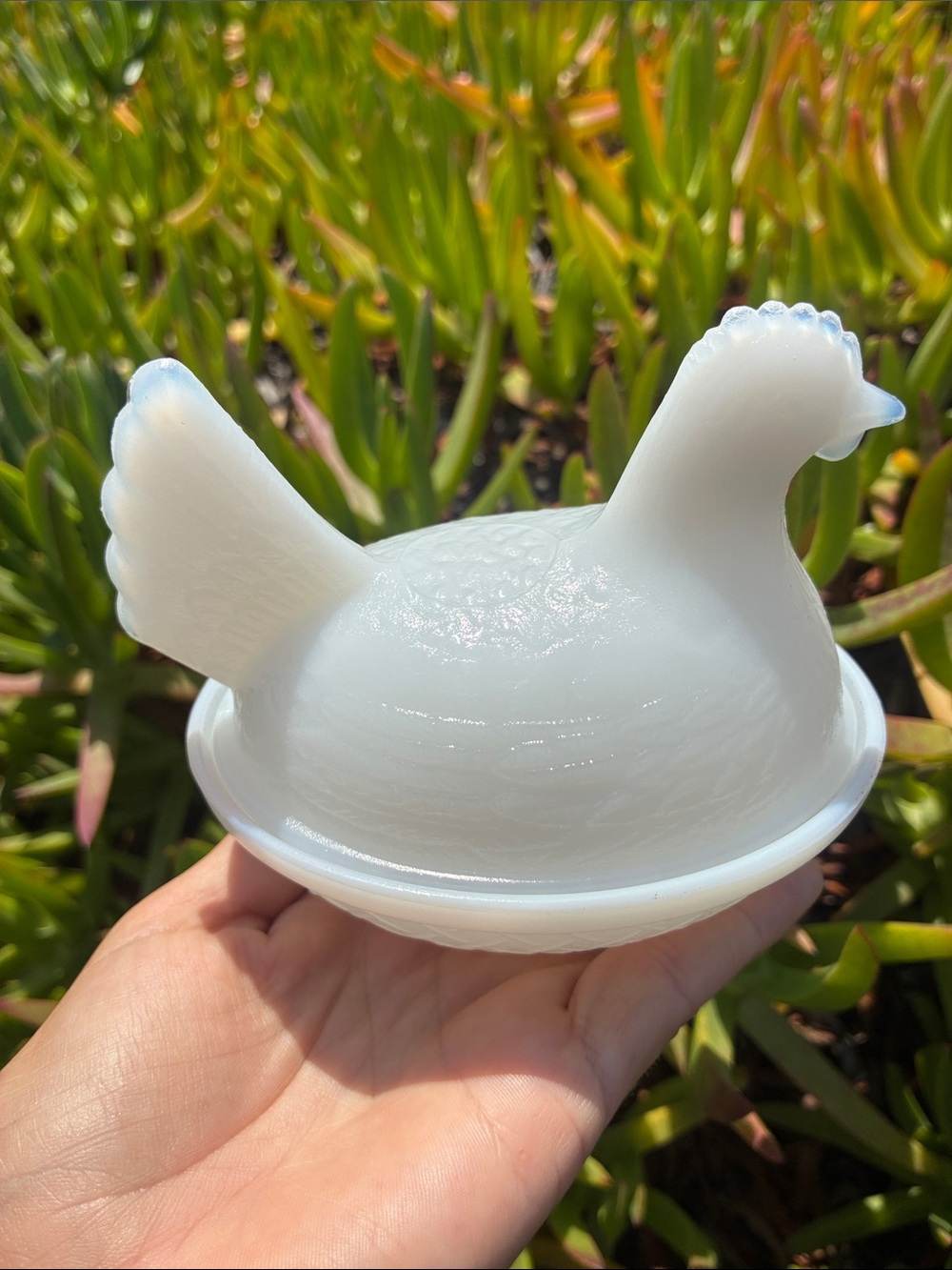 Vintage Milk Glass Hen in a nest 
Jewelry box